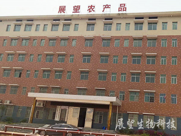 辦公大樓 辦公大樓